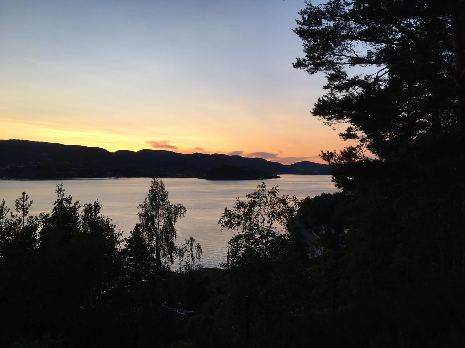 O-Festivalen 2019