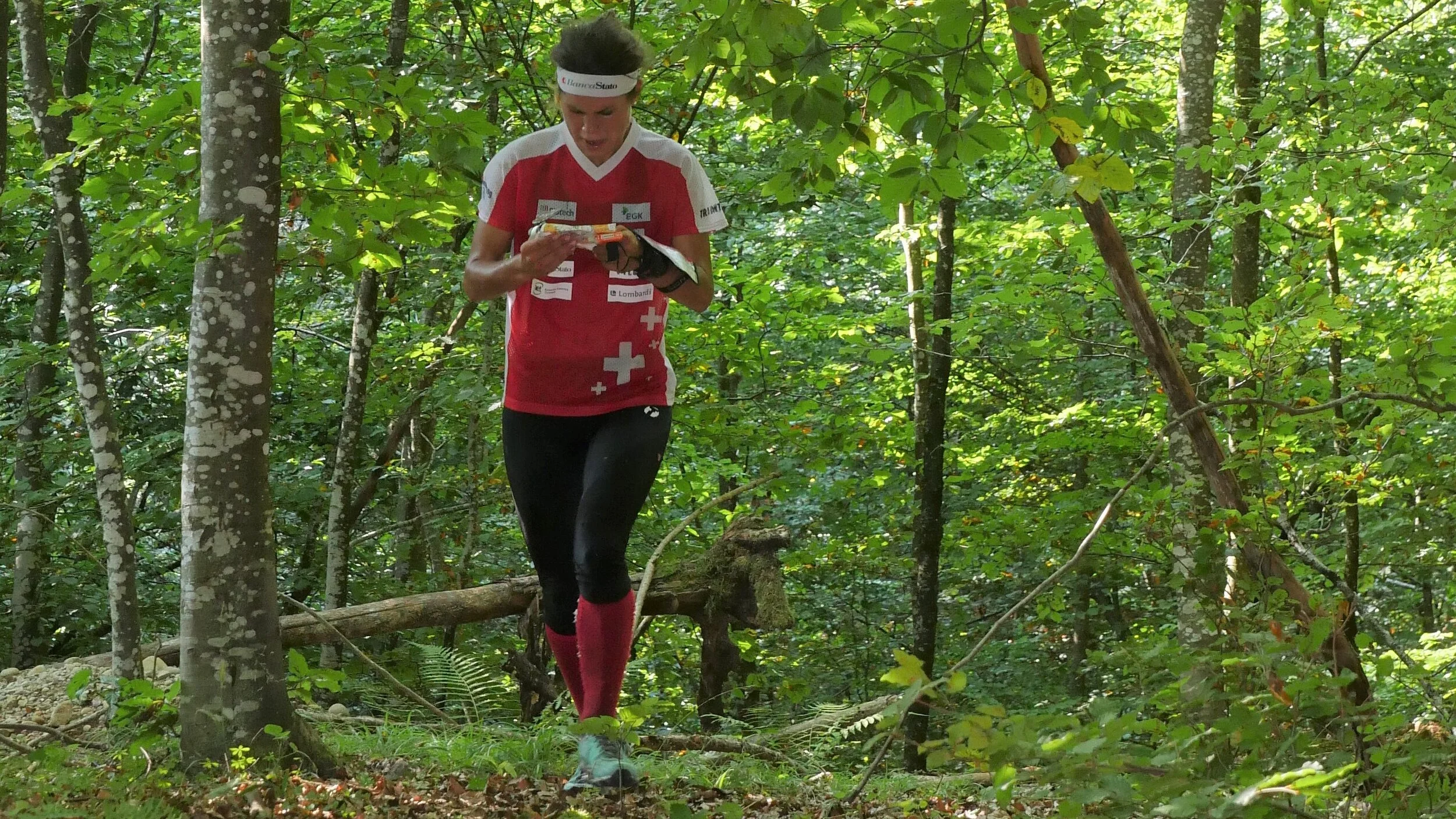 La stagione di CO 2020