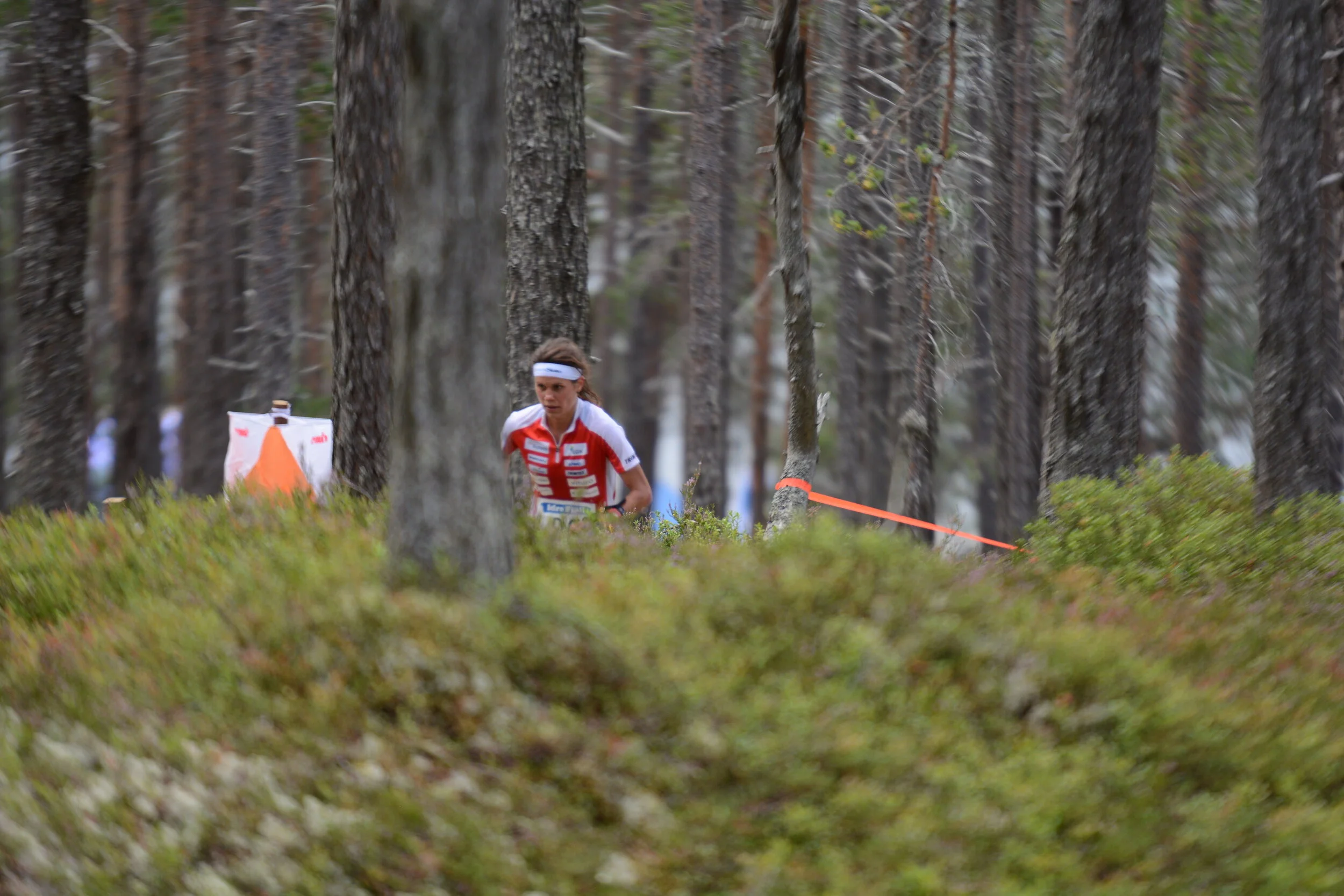 Notizie dal soggiorno al nord