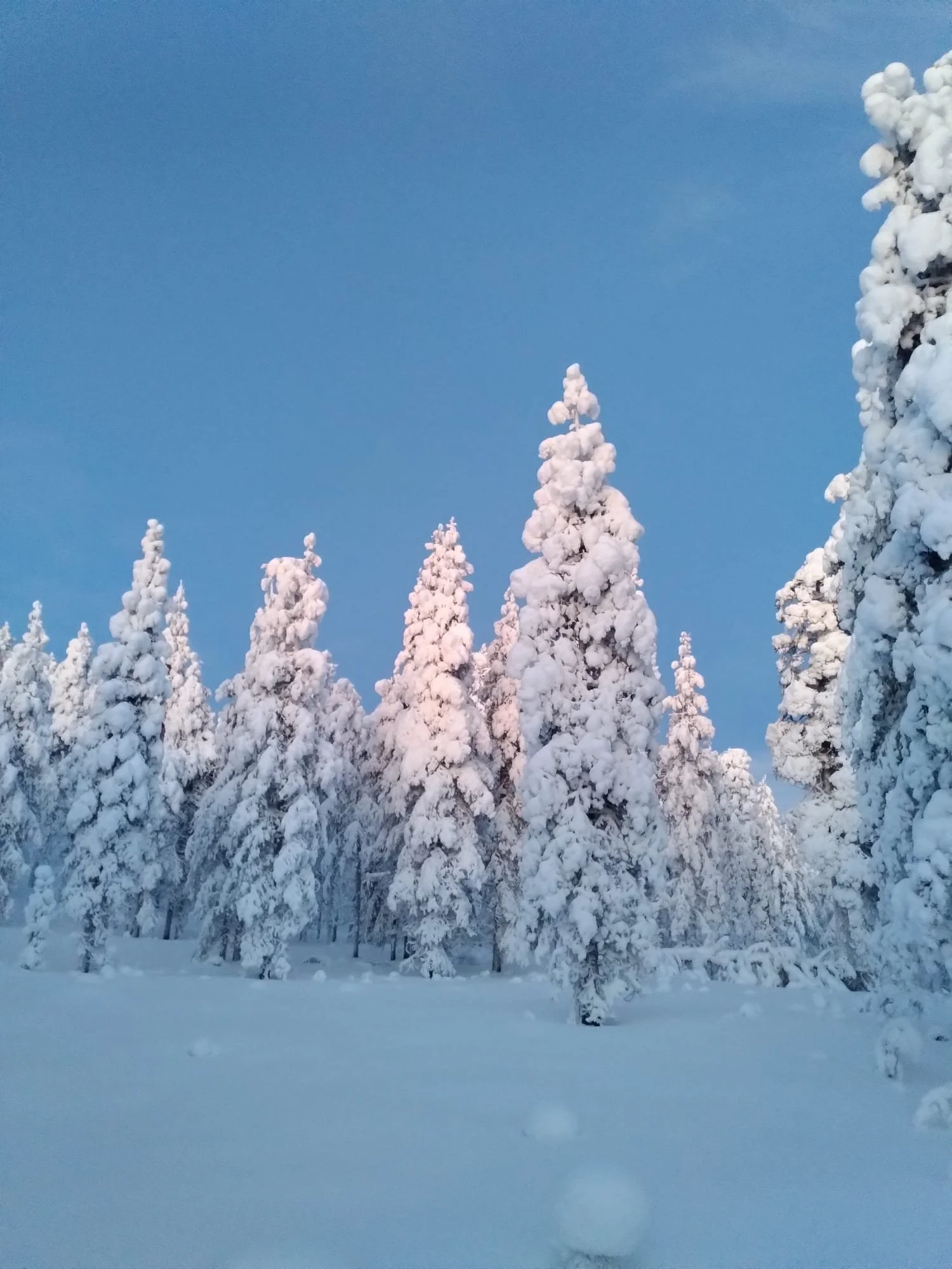 Anno nuovo, vecchia forma?