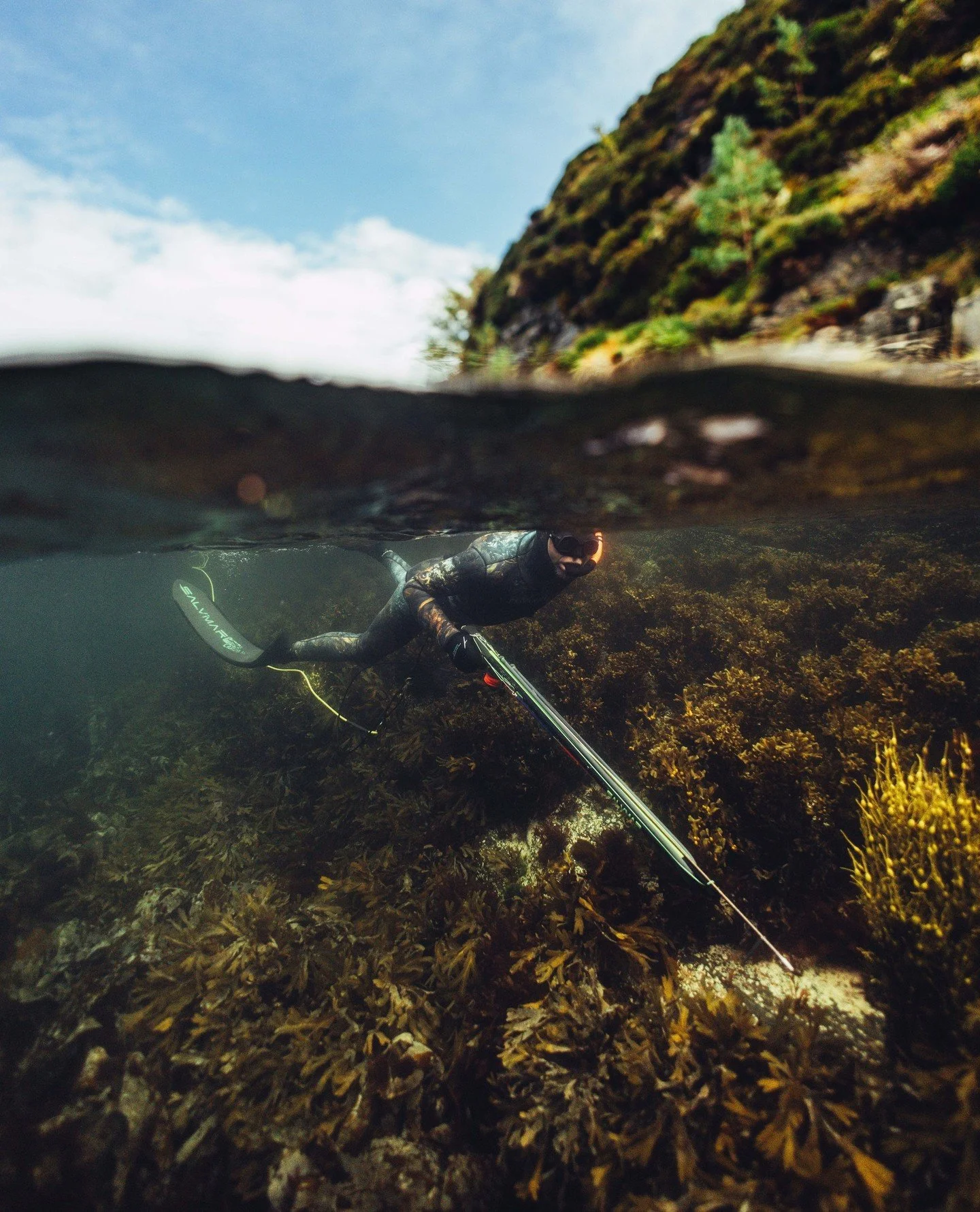 Everybody who eats fish should try this.⁠
Get out there. Immerse yourself in the wild. See how these animals live, breed, hunt, and fight to survive.⁠
It&rsquo;s a living, breathing ecosystem.⁠
⁠
People sometimes ask how I can advocate for ocean prot