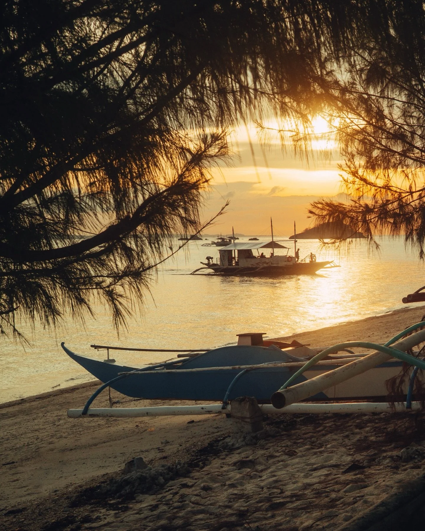 Dreaming myself back to the sun and the quiet waves 🏝️
&bull;
&bull;
&bull;
&bull;
#scuba #scubadiving #diving #scubadiver #diver #phillipines #ocean #underwatercinematography #underwaterphotographer #underwater #marinelife #dykning #travel #wanderl