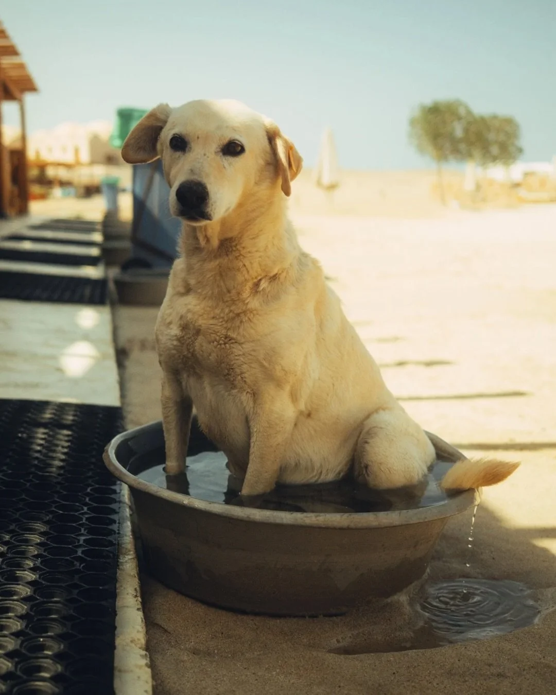 A little slice of life ~ 2025 EDITION
&bull;
&bull;
&bull;
#sliceoflife #newyears #photographer