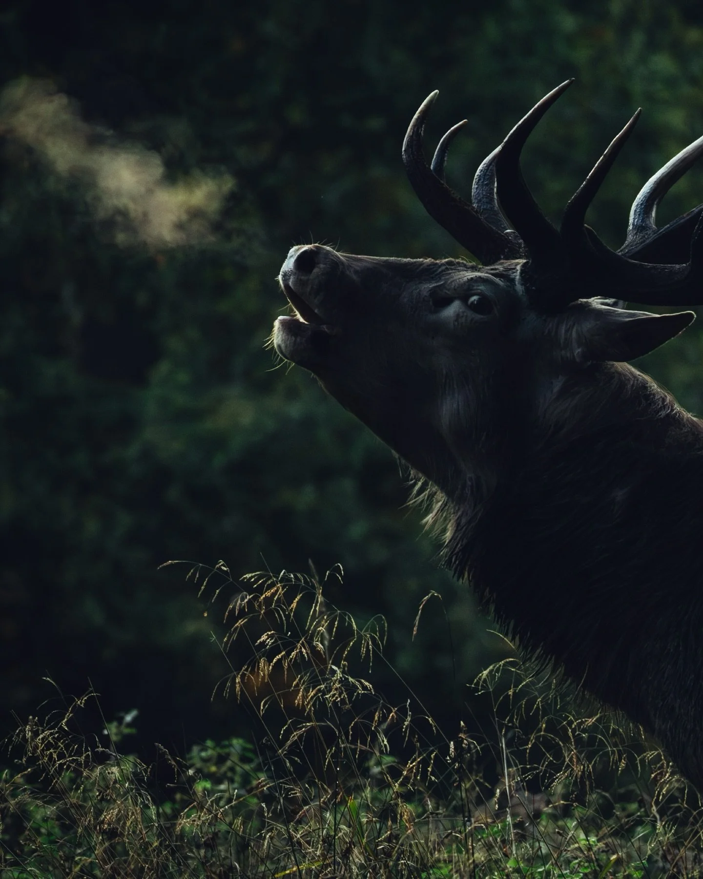 10 of my absolute favourite images of 2025 - which one is your favourite? 📸

 &hellip; I&rsquo;ve been fortunate enough to have a lot of great adventures in 2025, so it is really difficult to pick 10 images from the thousands of images I have stored