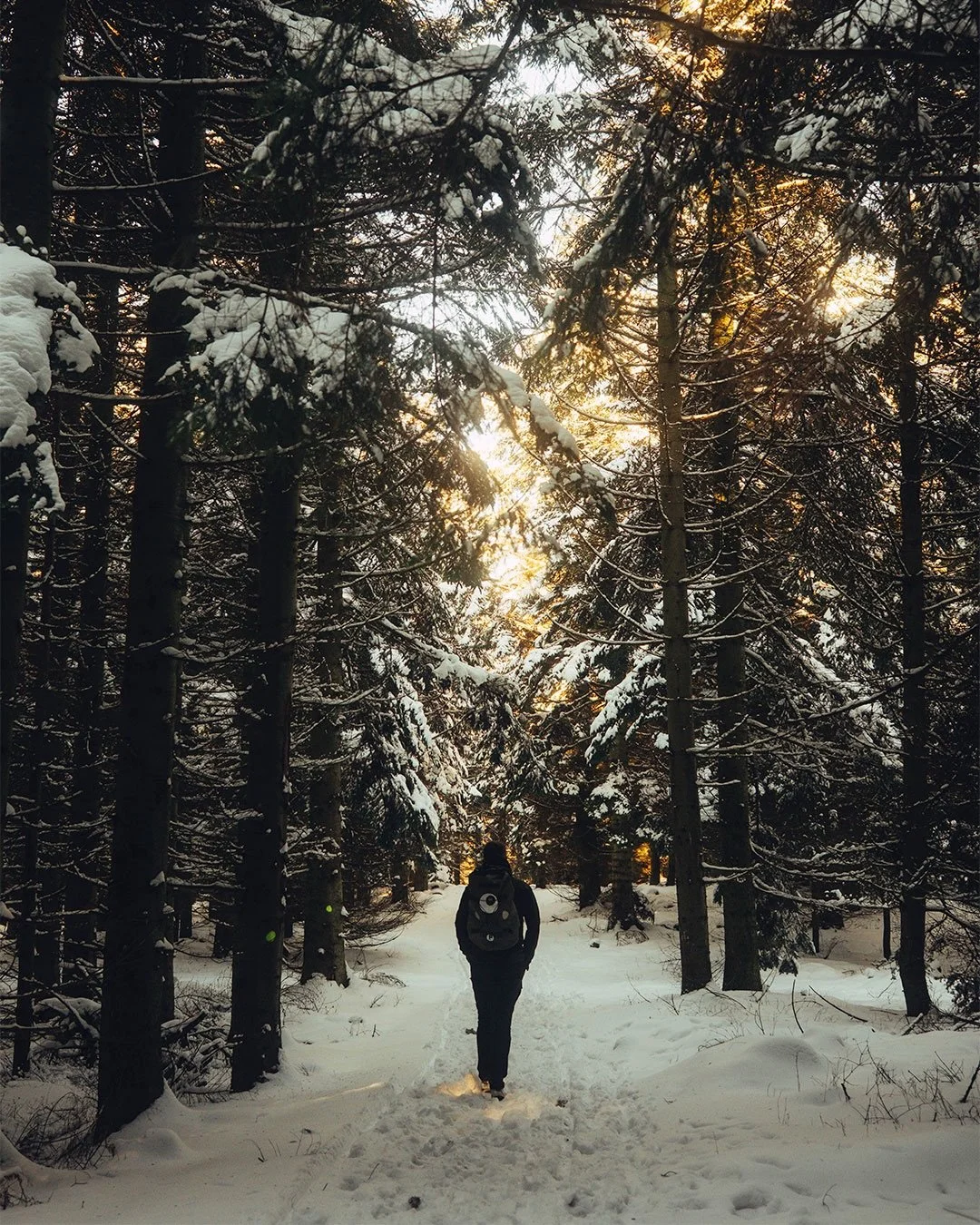 Nothing calms the mind like the silence of the woods and the flames of a campfire ~ Saturday well spent 🏕️🌲 &bull;
&bull;
&bull;
&bull;
&bull;
&bull;
#forest #hiking #adventure #danskefotografer #dansknatur