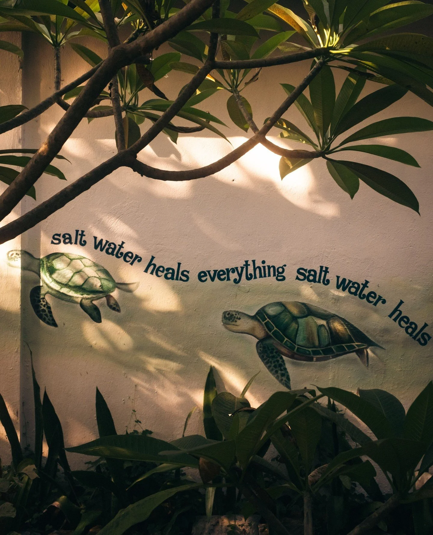 Salt water heals everything 💙⁠
&bull;⁠
&bull;⁠
&bull;⁠
&bull;⁠
#adventure #phillipines #morning #wallart #malapascua