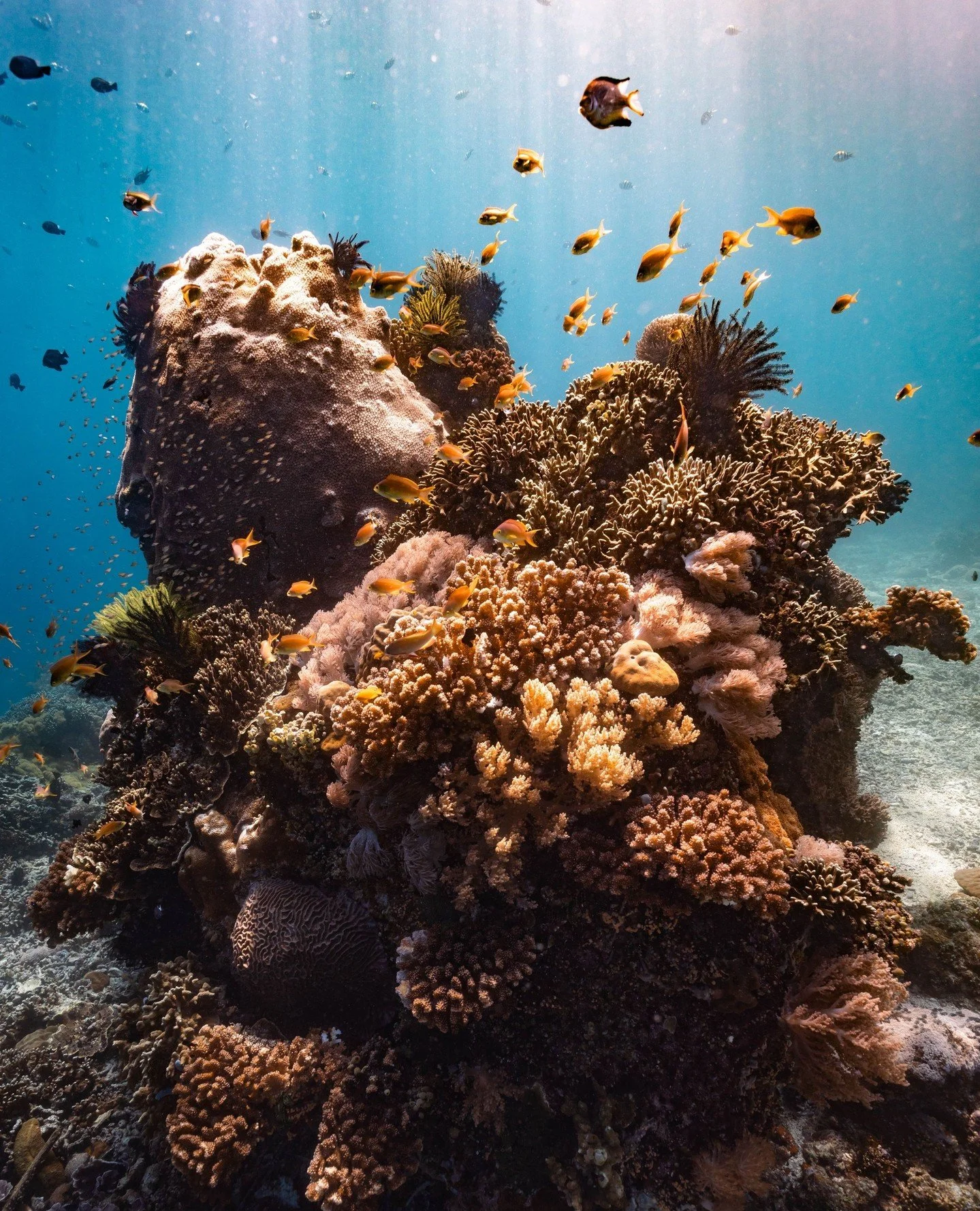 Sometimes all you need is a bit of distance and time.⁠
When I get back from a trip like the Philippines, I come home with a ton of photos and I can&rsquo;t wait to dive into them. I&rsquo;ll often start editing on the flight home. Half excited, half 