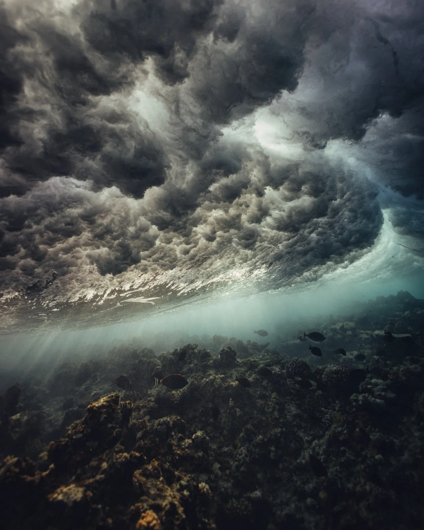 Beneath the waves ~ A storm is comming 🌪️ &bull;
Shot with the Canon R5
&bull;
&bull;
&bull;
&bull;
&bull;
#redseadiving #danskefotografer #adventure #underwater #waves