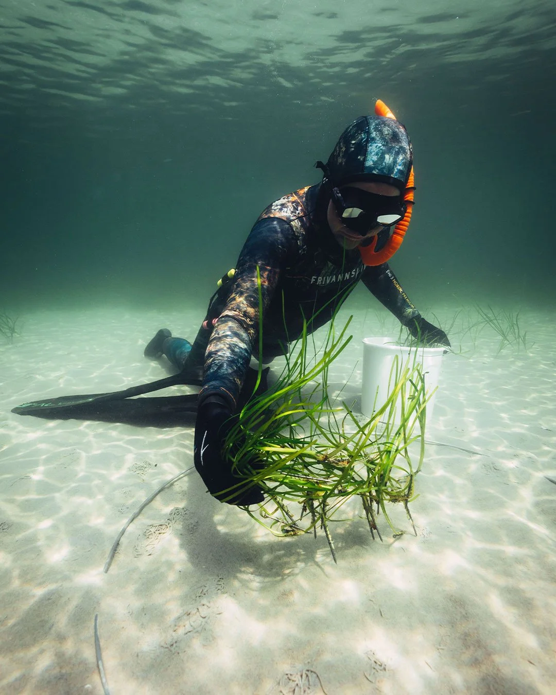 Don&rsquo;t forget June 14th. &ldquo;Danmark planter &aring;legr&aelig;s&rdquo;.⁠
It&rsquo;s the day we come together to actually do something for our marine environment. Especially the eelgrass meadows that are struggling right now.⁠
If you&rsquo;re