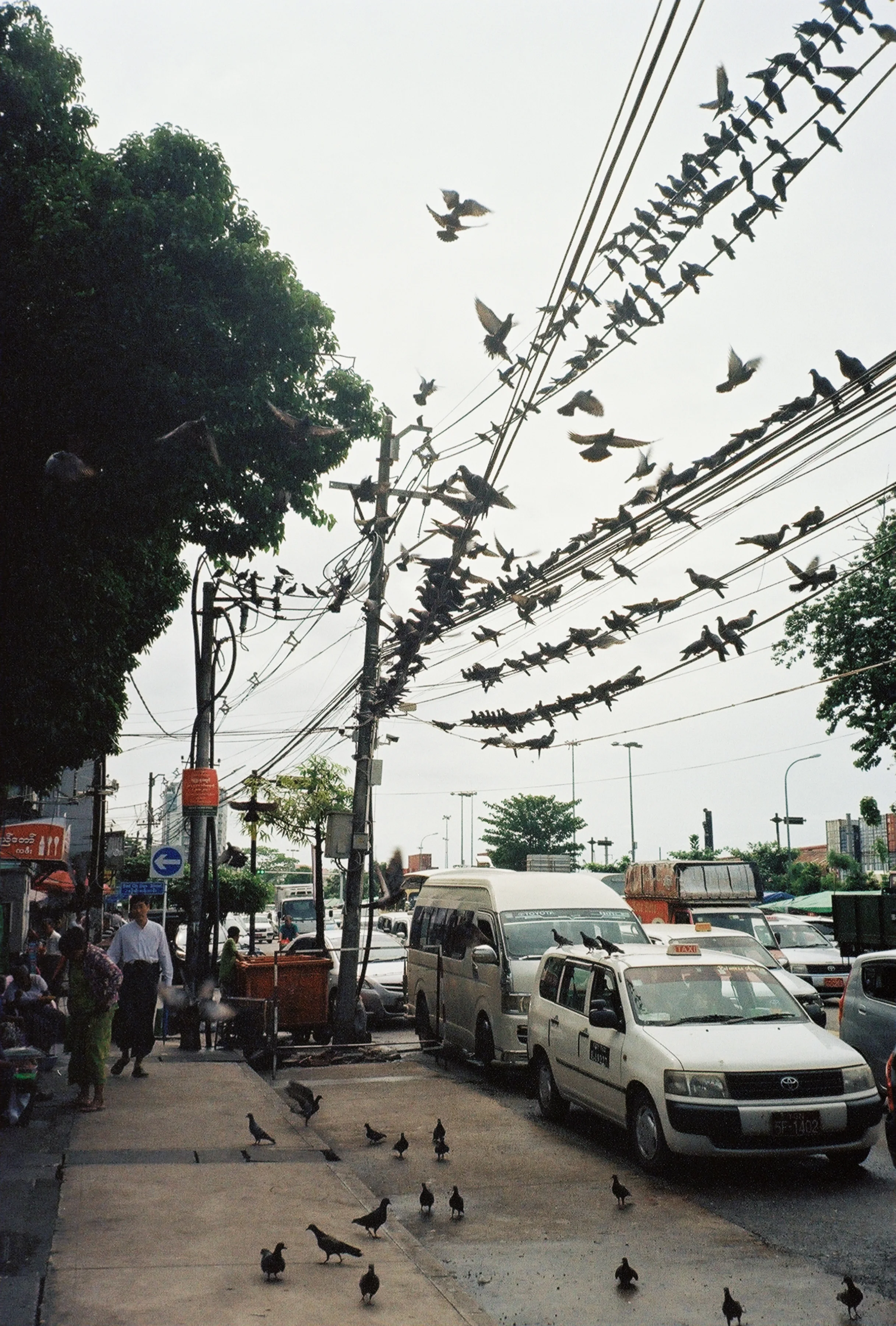 R1-09911-0015edit.jpg