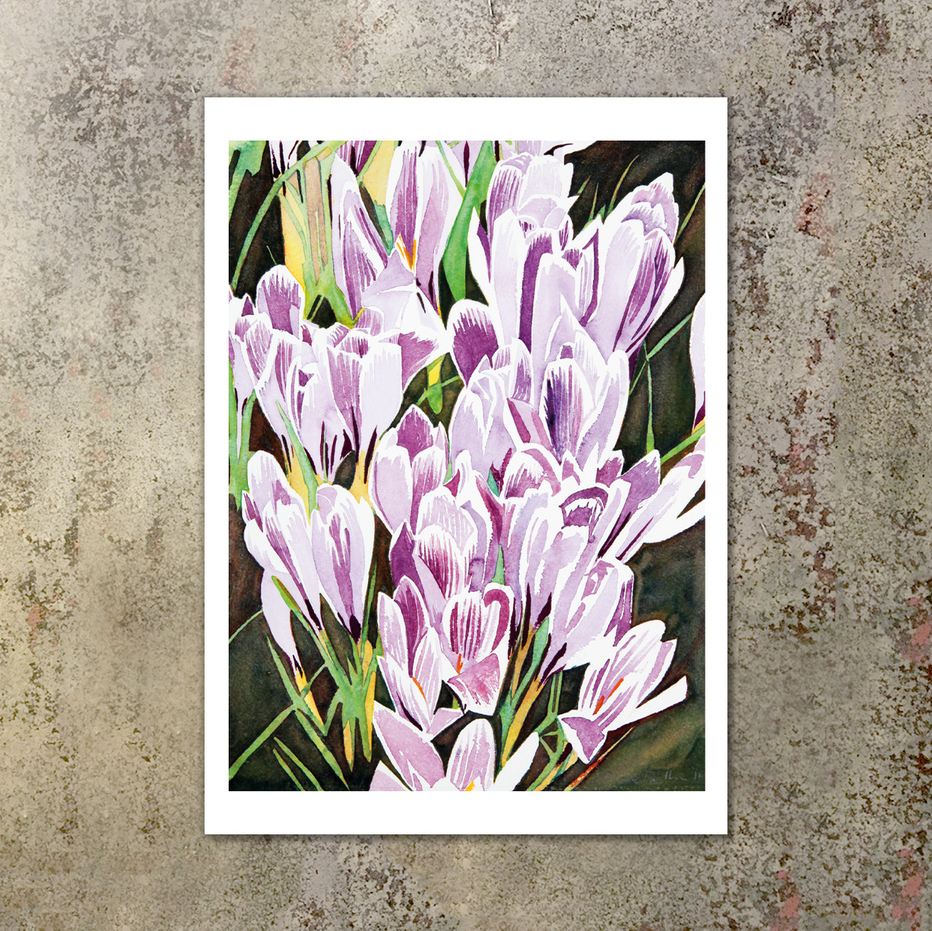C_Belbin_Postcards_Ecomm_Images_Crocus_Front.jpg