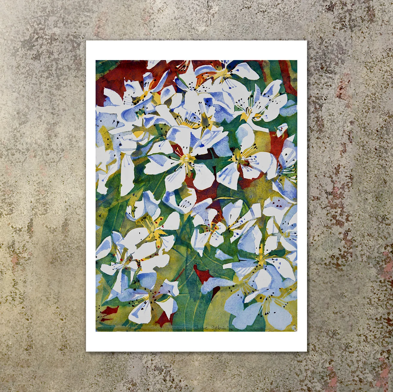 C_Belbin_Postcards_Ecomm_Pear_Blossom_2014_Front.jpg
