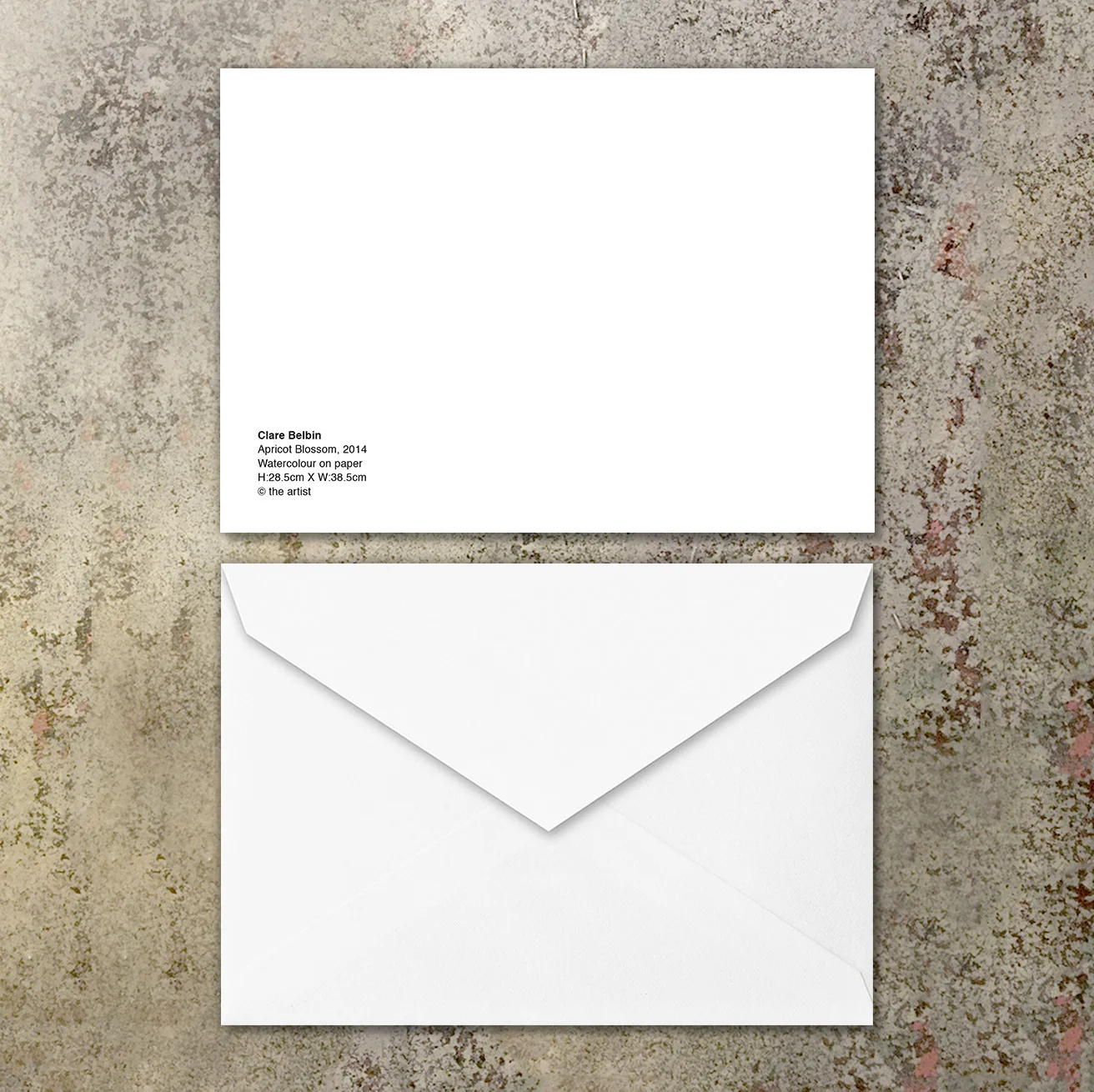 C_Belbin_Postcards_Ecomm_Apricot_Blossom_2014_Back.jpg