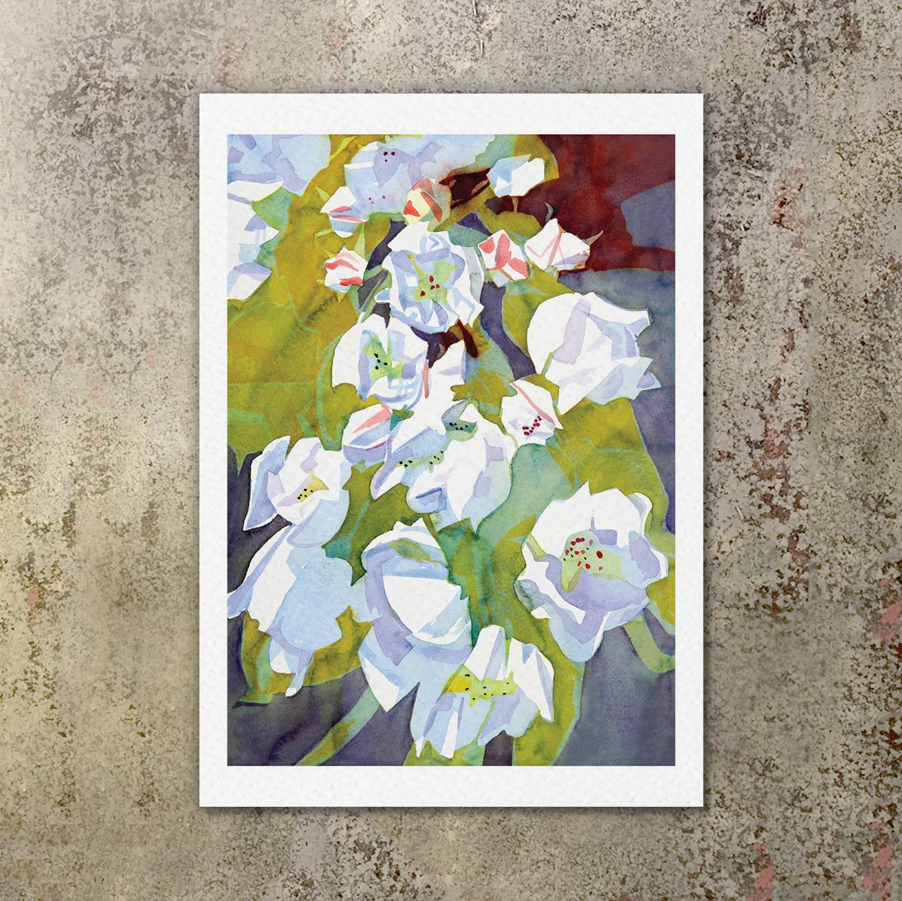C_Belbin_Postcards_Ecomm_Images_Premium_PearBlossom_Front.jpeg
