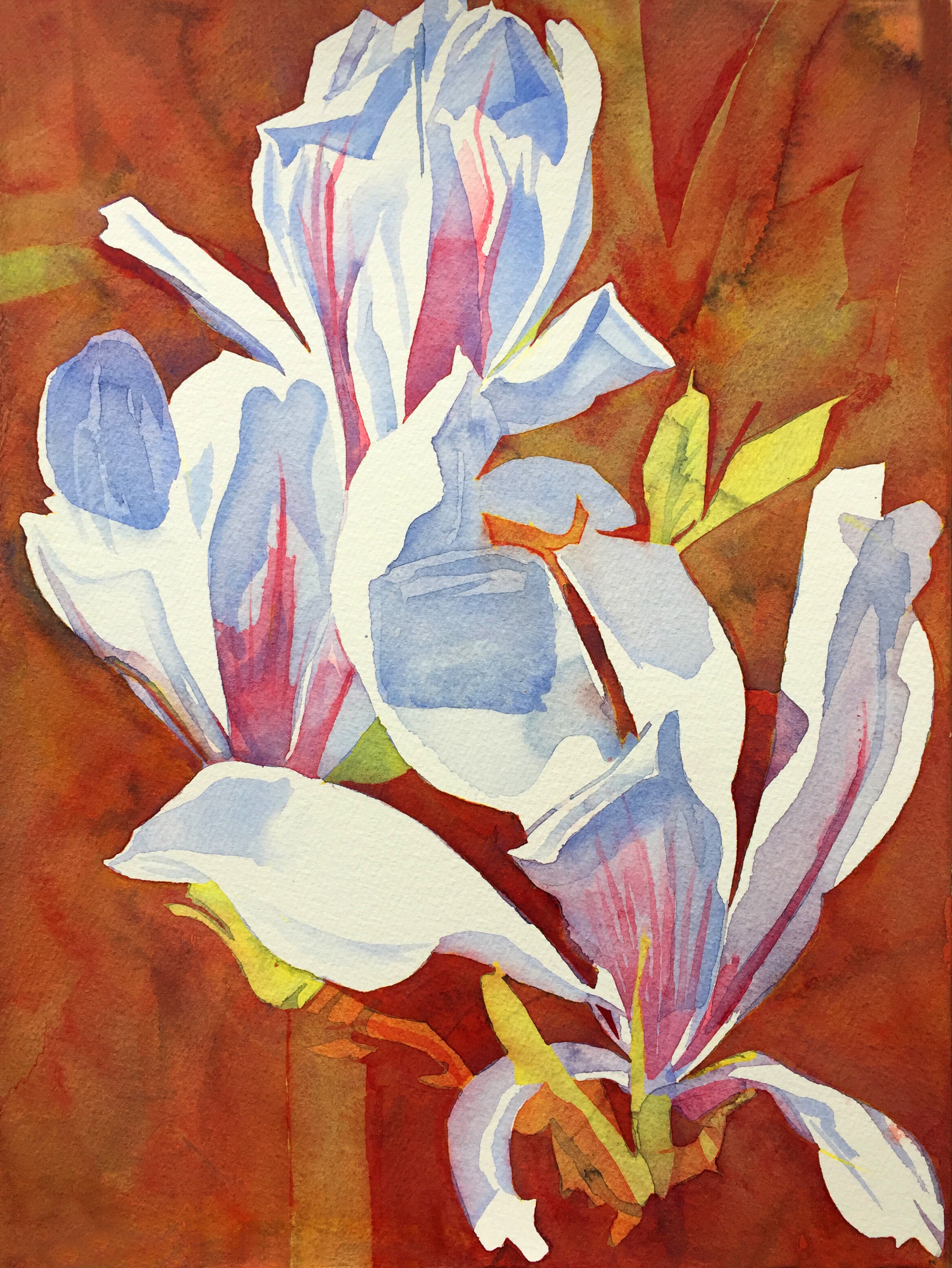 Magnolia