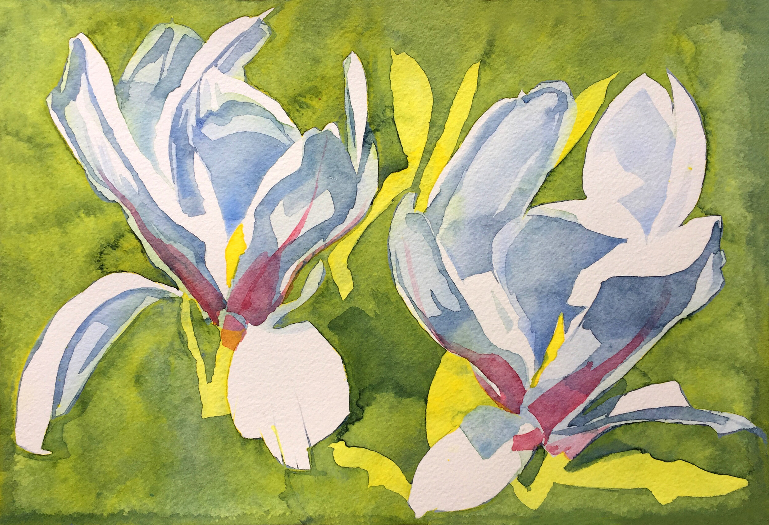 Magnolia