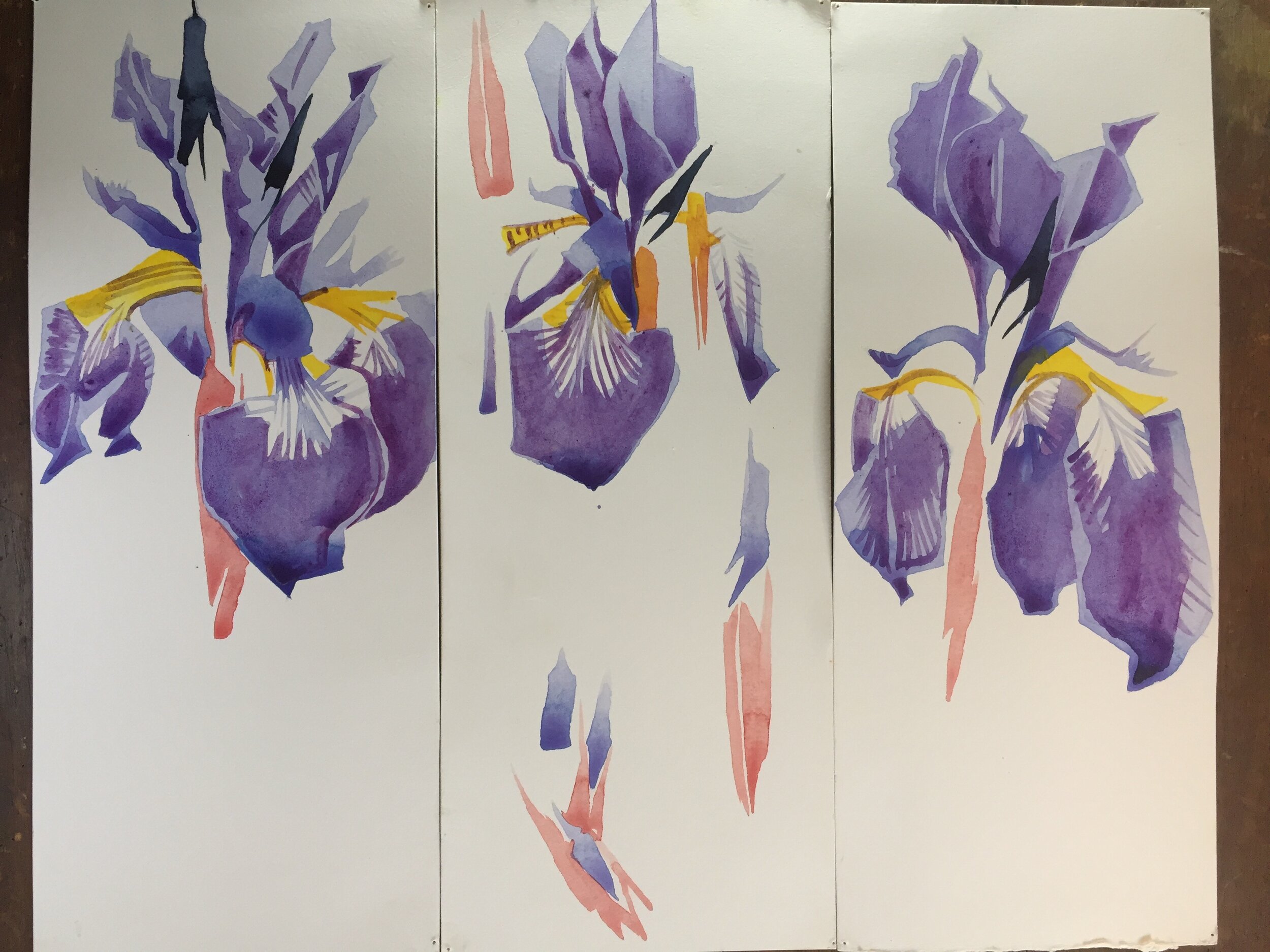Iris Triptych