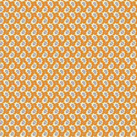 Marcus-Aunt-Grace-Paisley-orange-Hometown-Rochester-UK