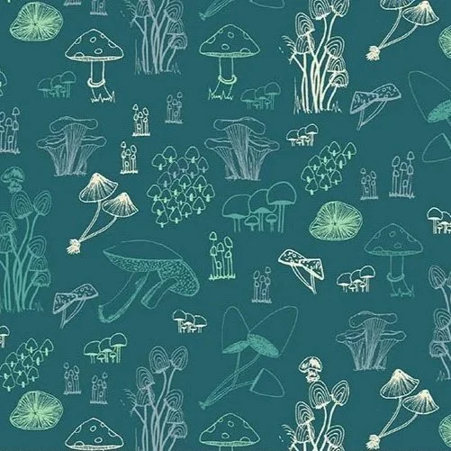 Celestial-Garden-10026-T-funghi-Hometown-Rochester-UK