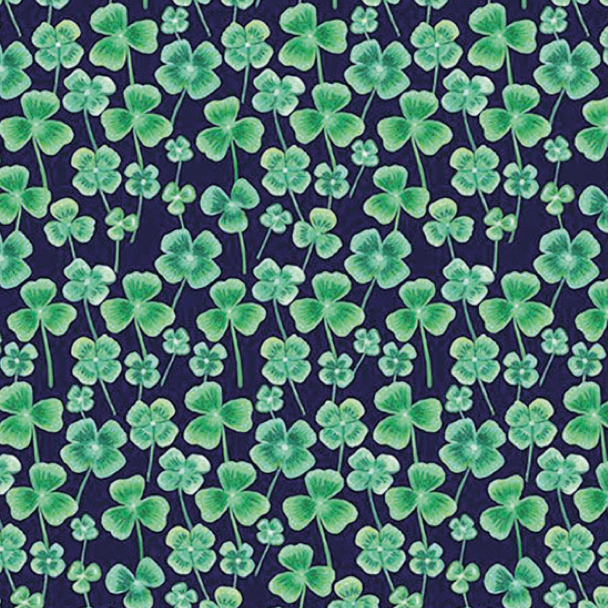 Dear-Stella-Shamrock-Hometown-Rochester