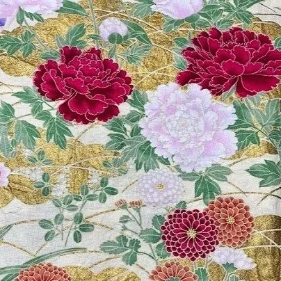 Japanese-peony-66630-101-Toki-Hometown-Rochester-UK