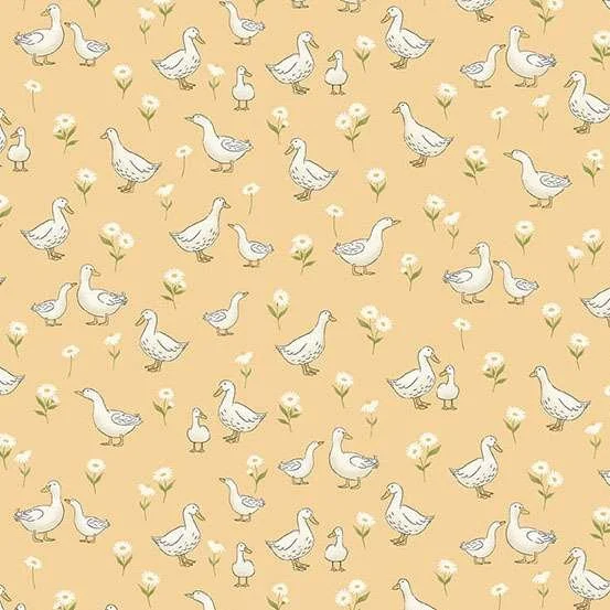 Little-Ones-190-Y-ducks-Hometown-Rochester-UK