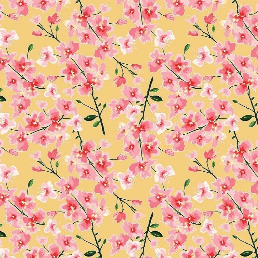 RBC12651-Blossom-spring-mon-cheri-Hometown-Rochester