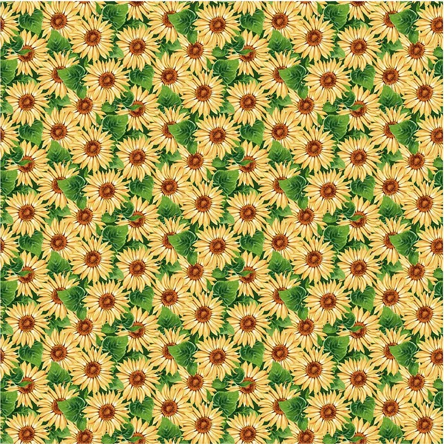 Sunflower-Honeybees-CX11257-Michael-Miller-UK Hometown-Rochester