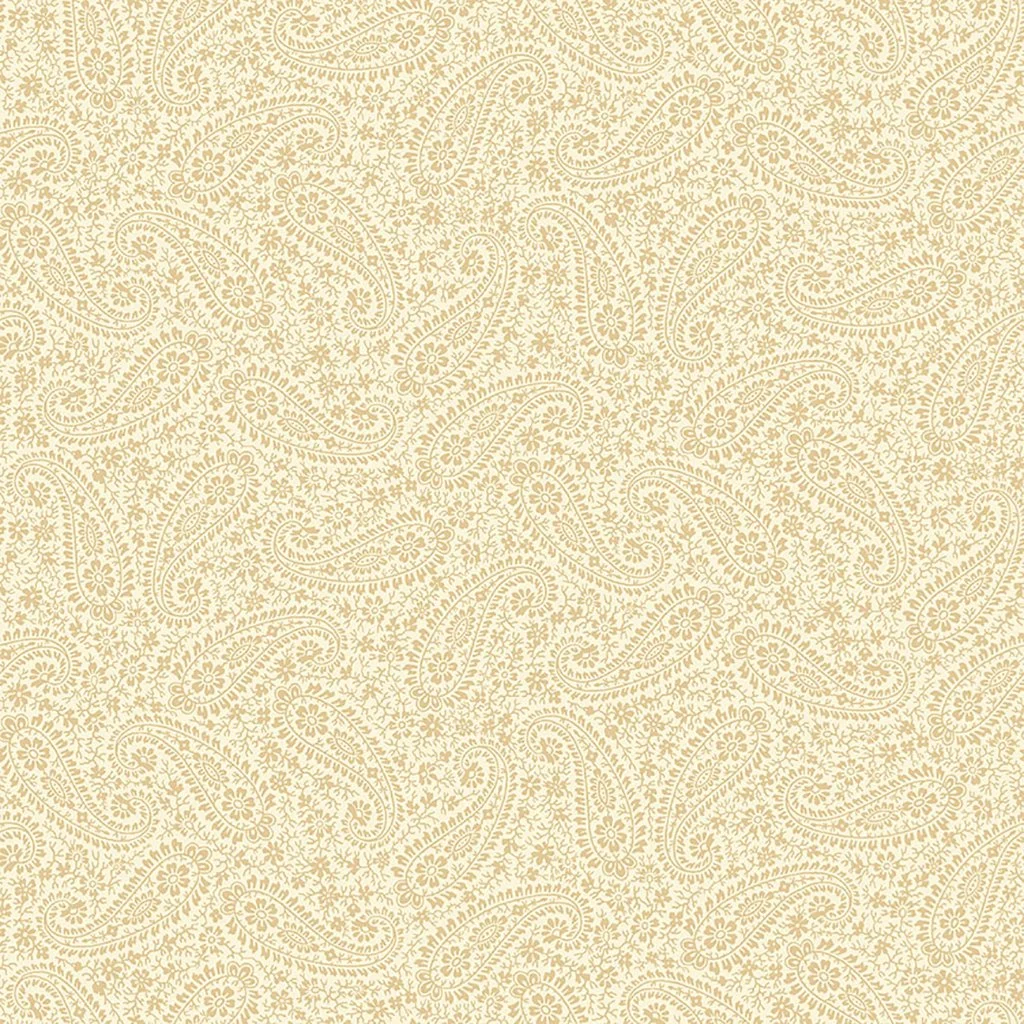 Paisley-Timeless-Treasures-CD2113-Hometown-Rochester-UK