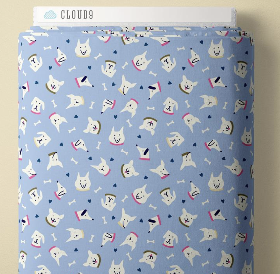 Cloud-9-Playful-Dogs-2285-Hometown-Rochester-UK
