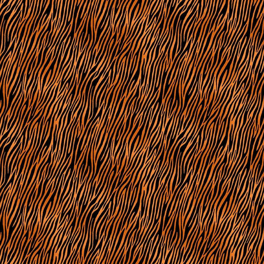 2401_V_zebra.jpg