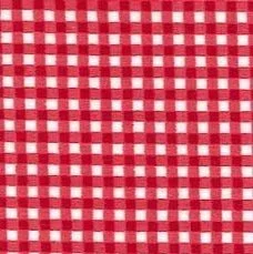 Gingham-cotton-poplin-red-CP0183-Hometown-Rochester
