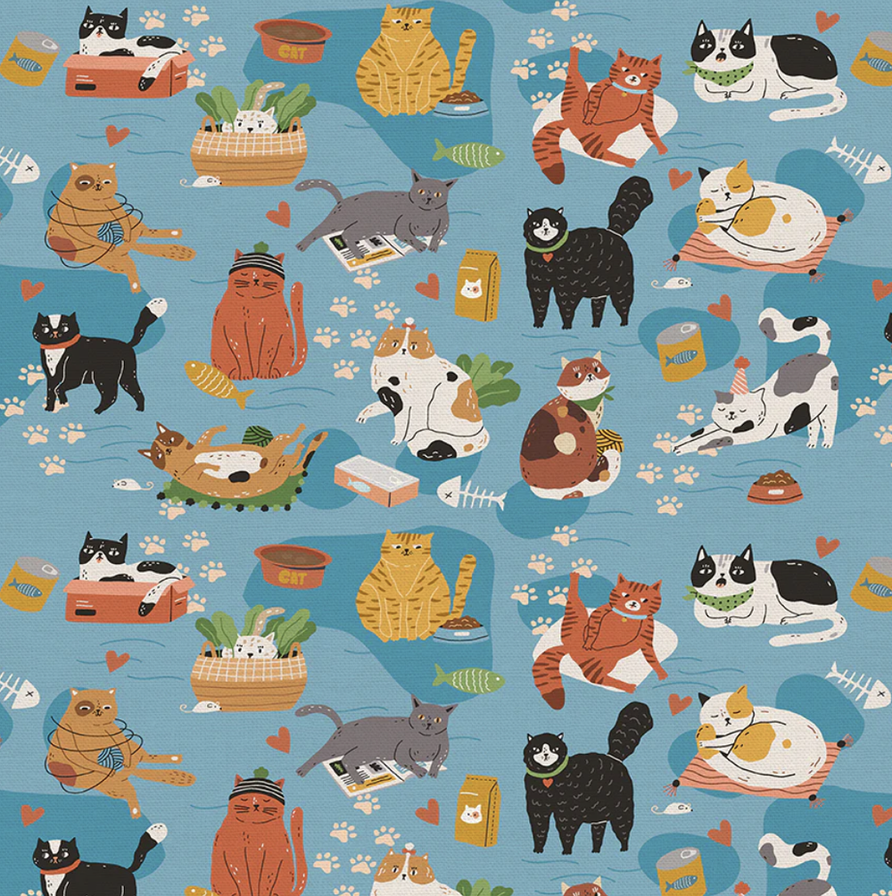 Here Kitty Kitty Curious Kitty in Multi Here Kitty Kitty Curious Kitty in Multi