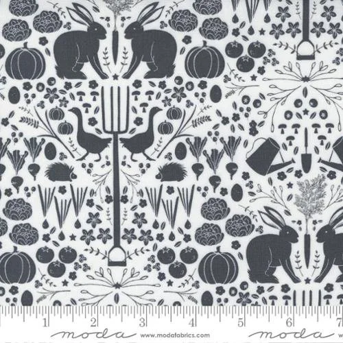 Midnight-Garden-Moda-43122-11-Hometown_rochester