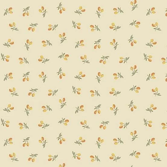 Laundry-Line-10096-Y-Hometown-Rochester