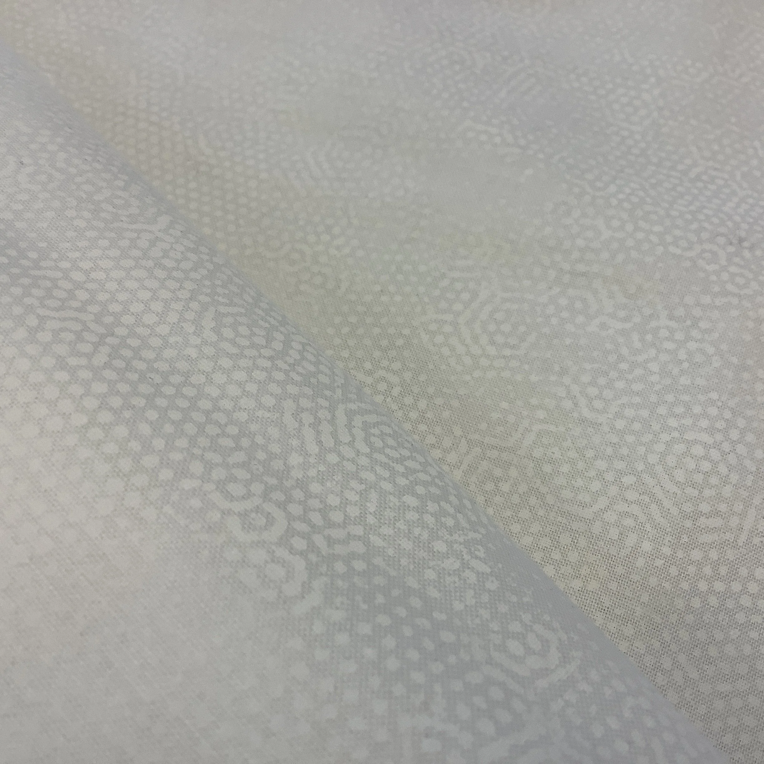 Andover-Dimples-1867-Hometown-Rochester