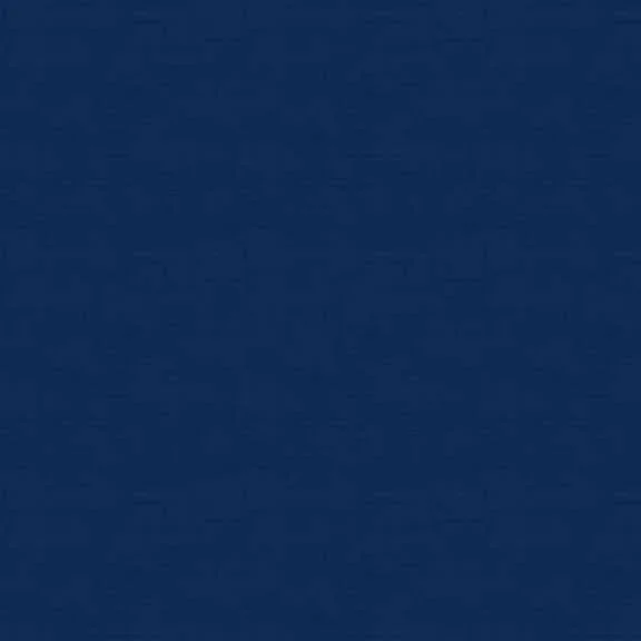 1473_B10_Linen+Texture.jpg