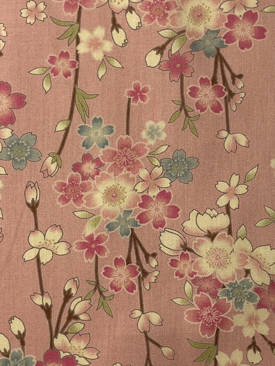 Sevenberry-Wagara-Blossom-pink-Hometown-Rochester-UK