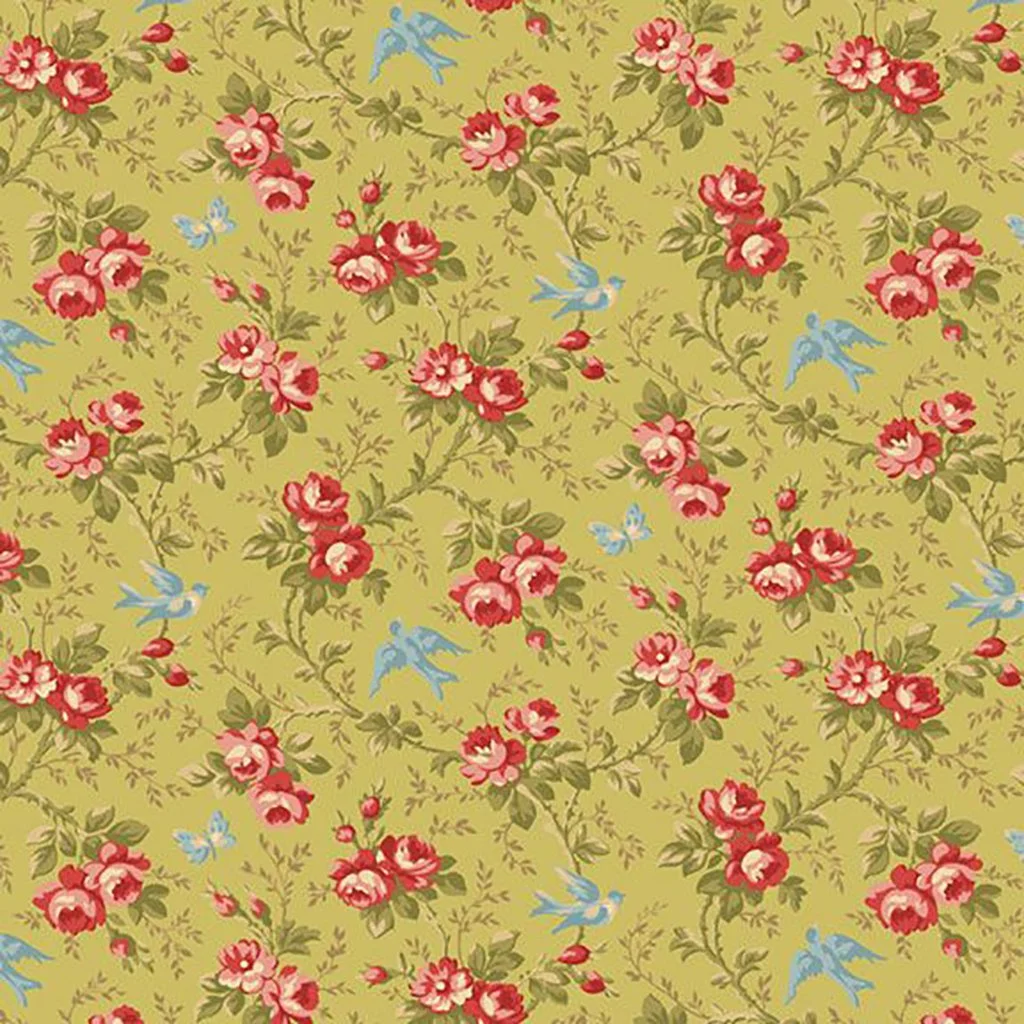 Blue-Bird-Marcus-R220639-Hometown-Rochester-UK