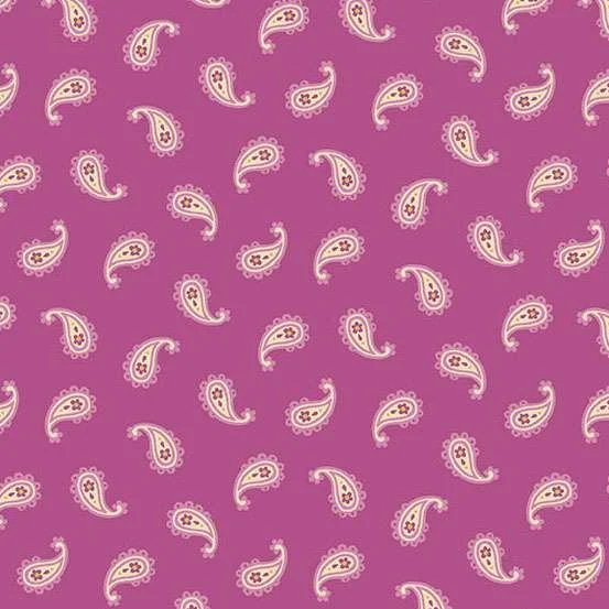 Whimsy-1656-P-Paisley-Hometown-Rochester-UK