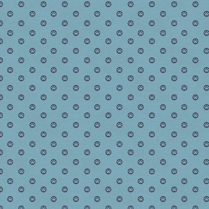 PBS-Here-Kitty-paws-Hometown-Rochester-UK