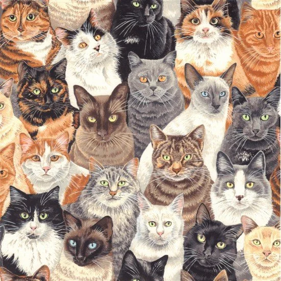 crowded-cats-fabric-80680-Hometown-Rochester-UK