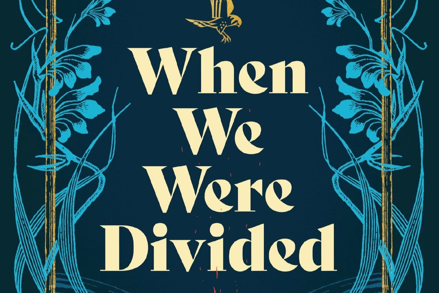 When We Were Divided Book Talk With Liz Flanagan