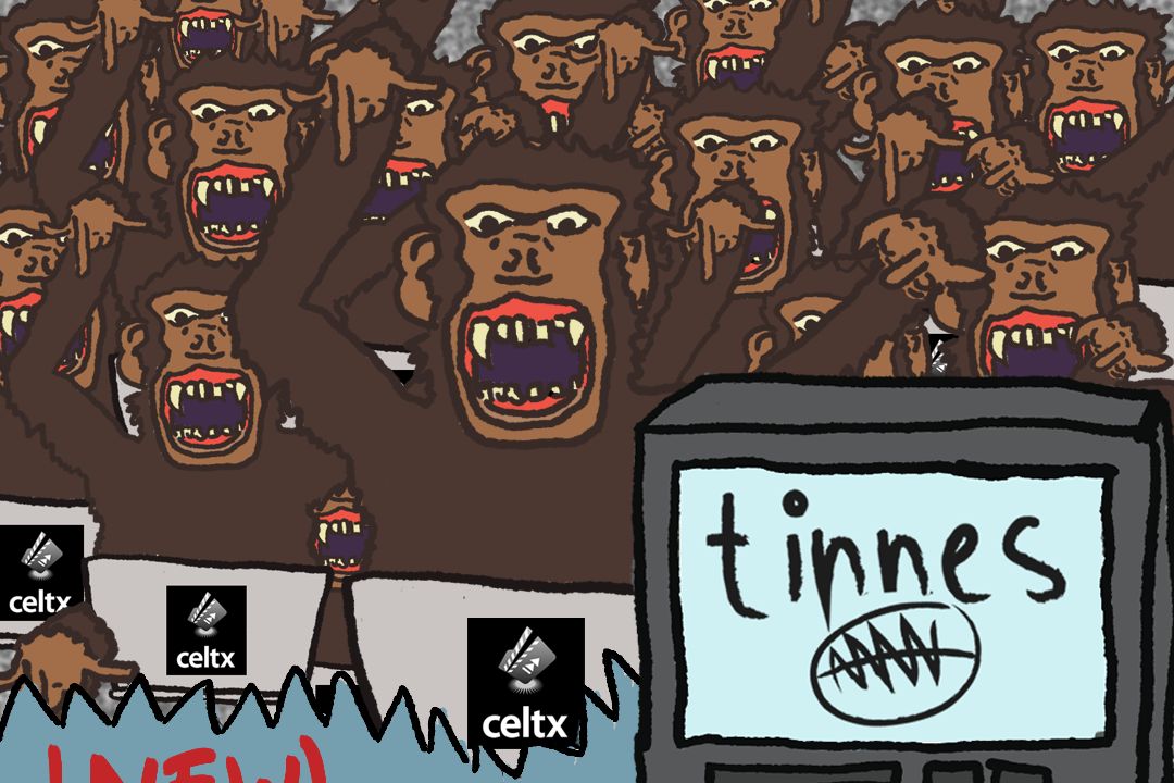 Festival de Tinnes: hjdsktgfjksdgfjaskgfhdjklfn
