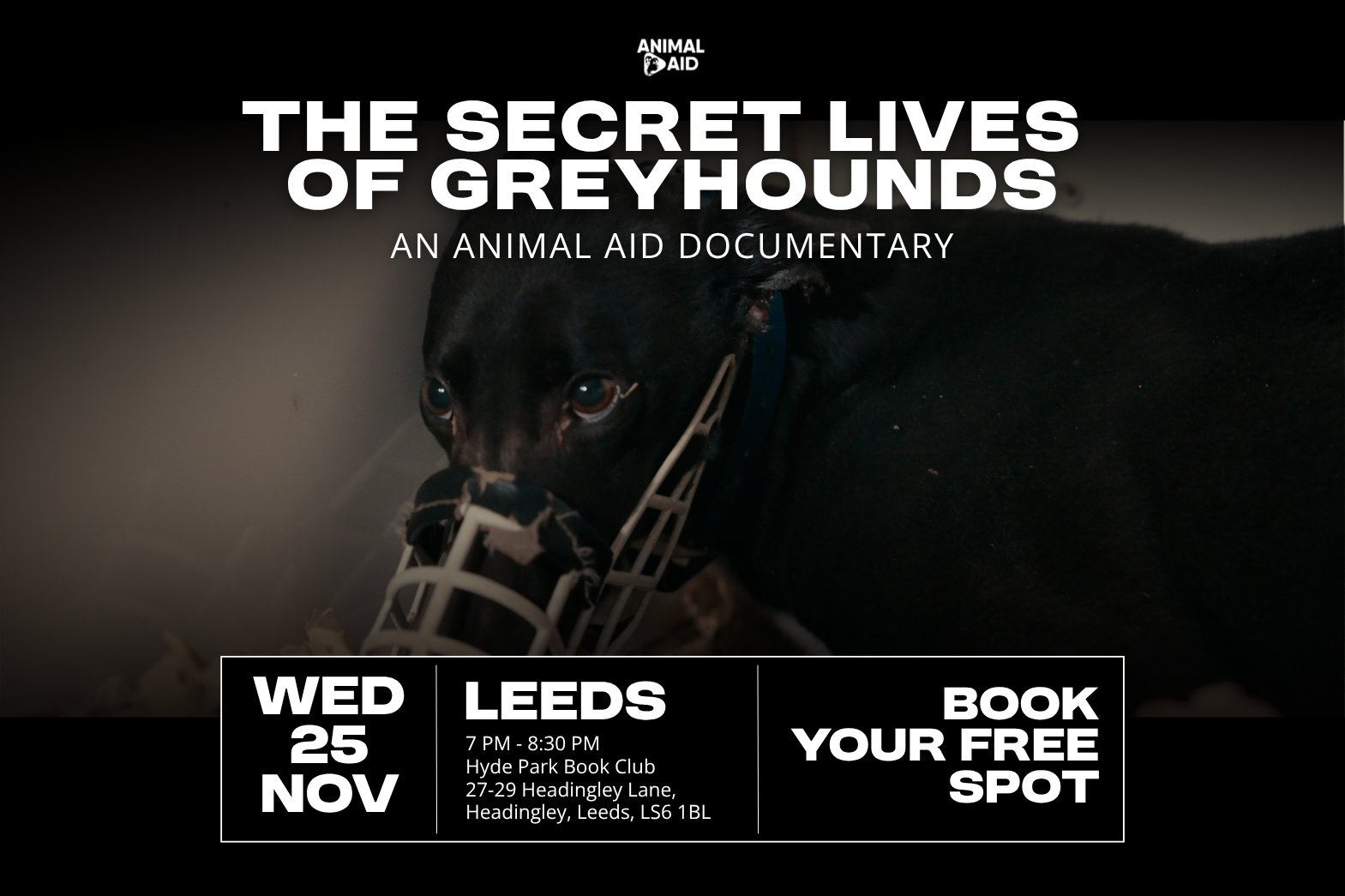 The Secret Lives of Greyhounds Documentary Screening