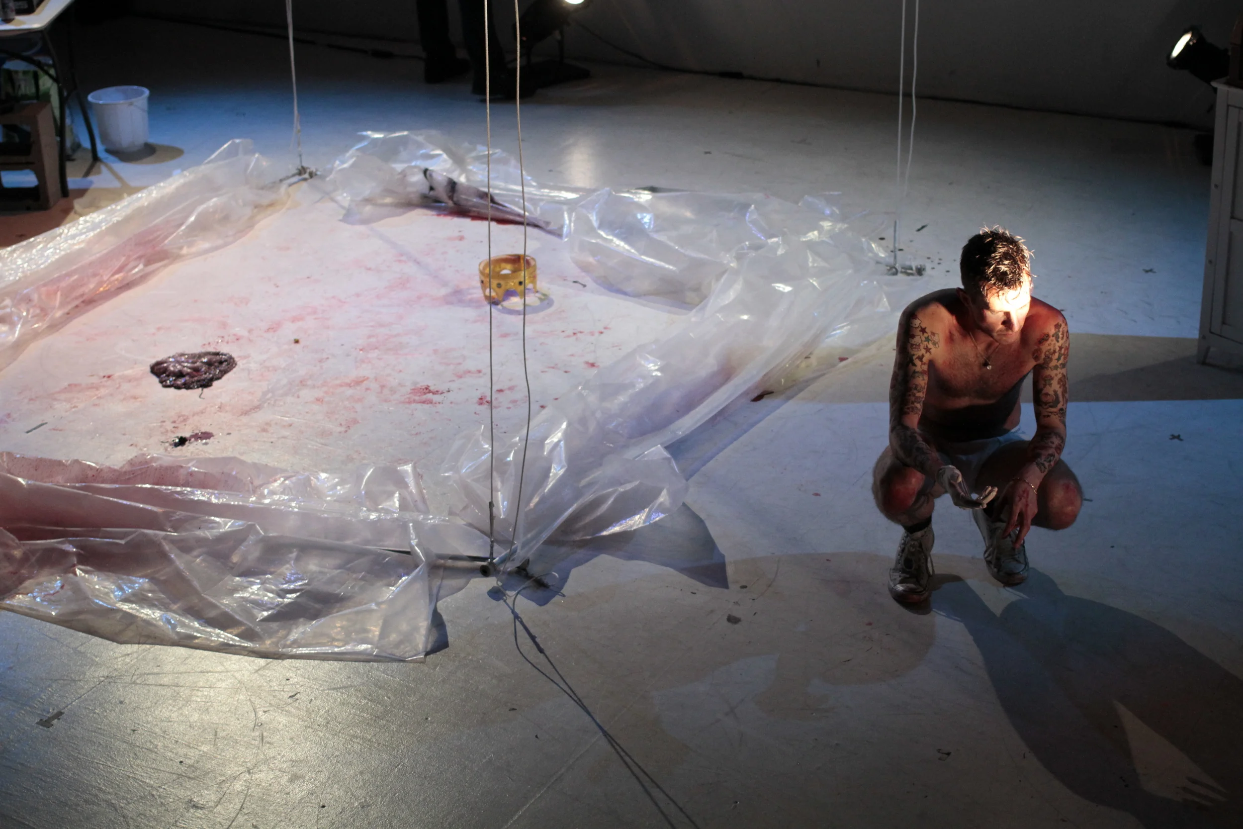 Revenge of the Popinjay Freja Mitchell 8.JPG