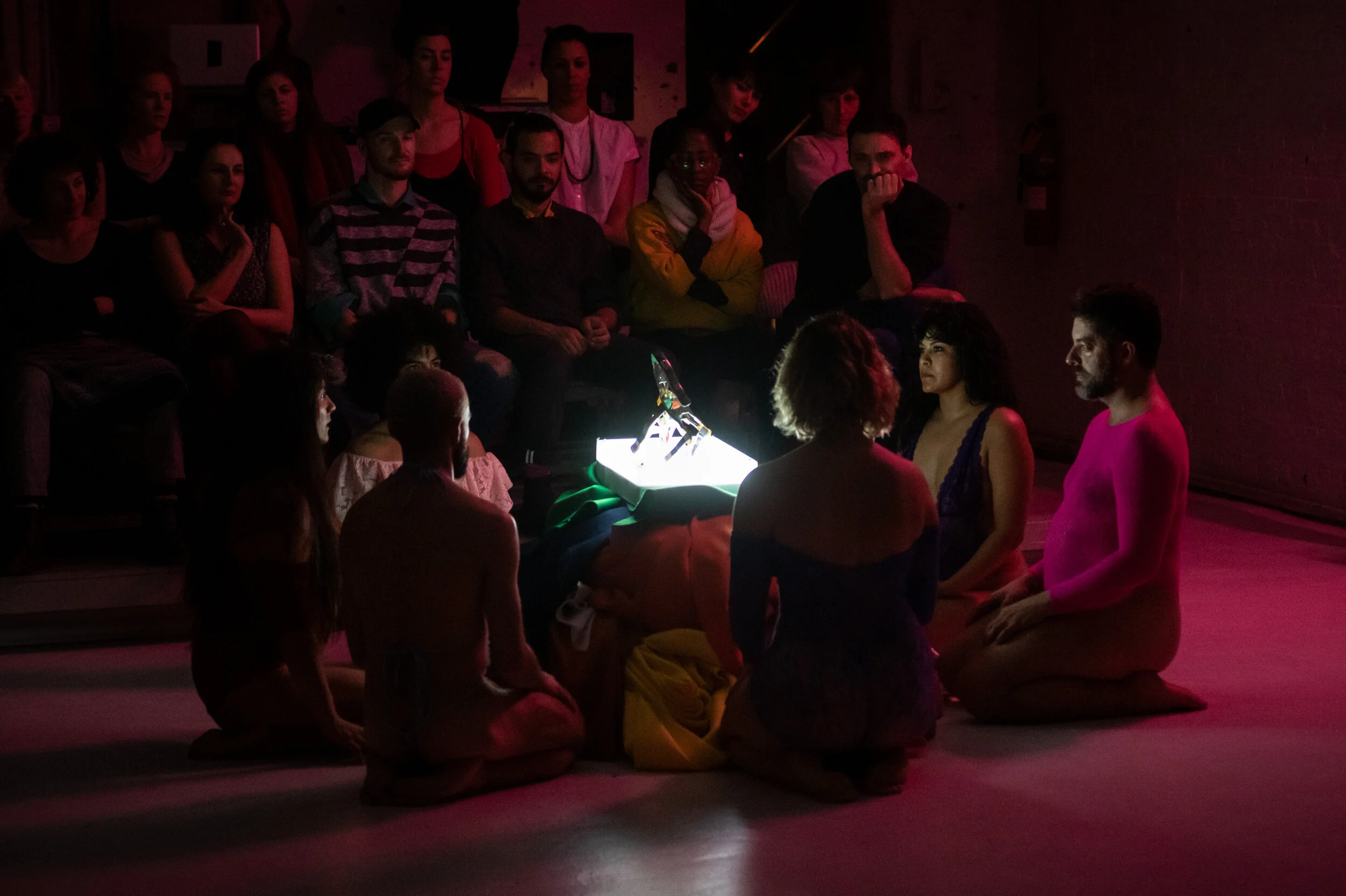 _D8X0332_CREDIT IAN DOUGLAS.jpg