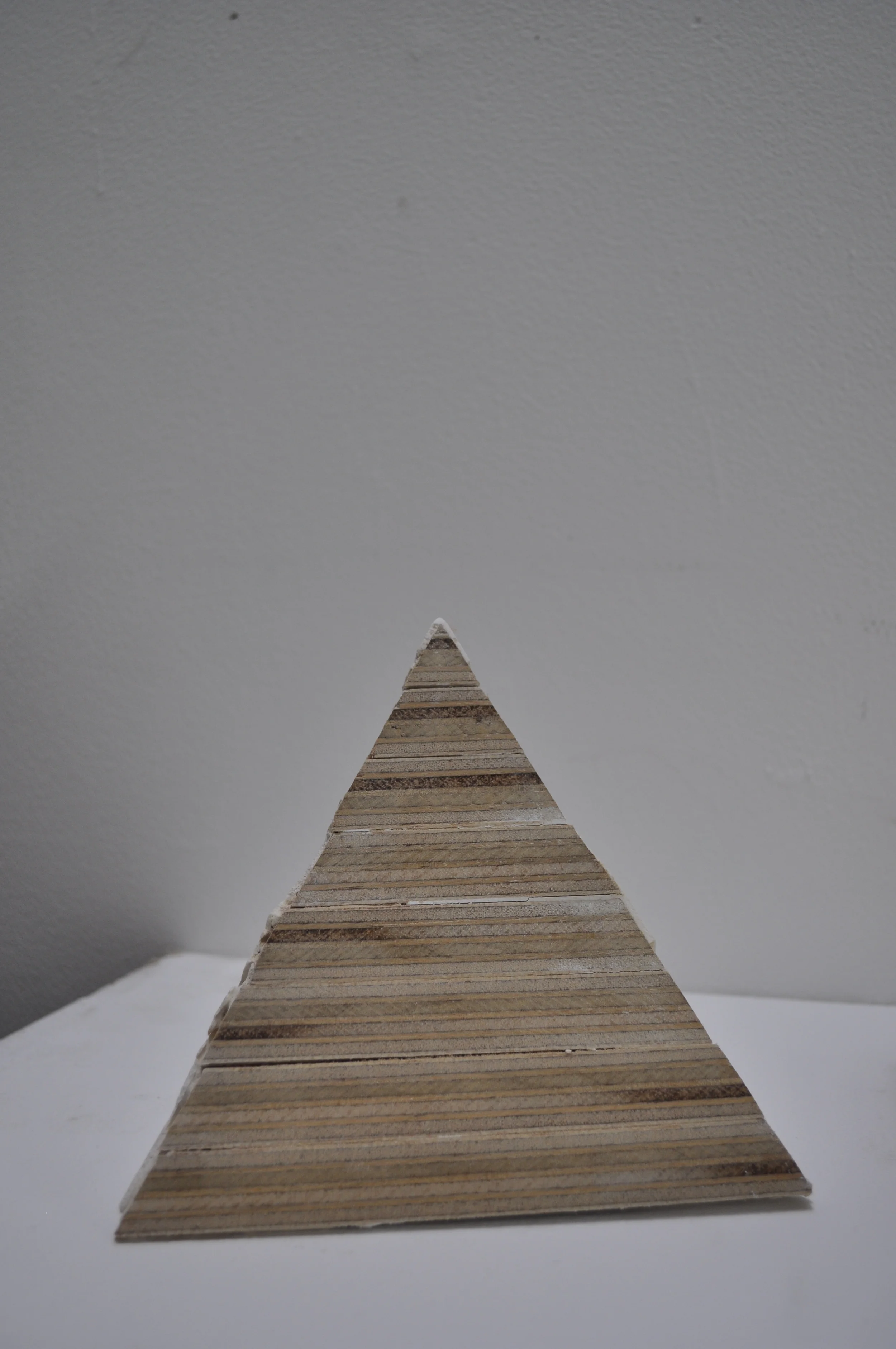 Wood Experiments, 2012
