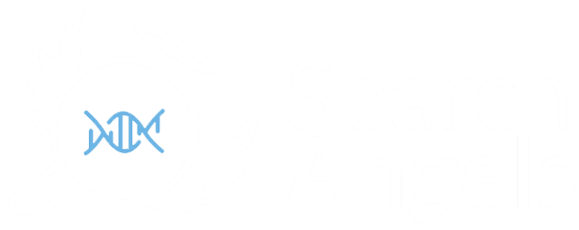 Search Angels