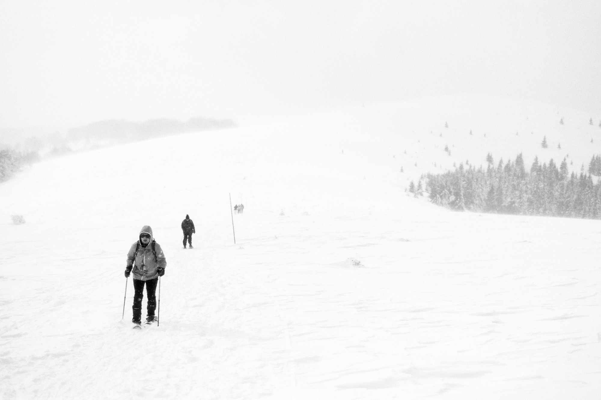 Tatra hotalpazas fatra-12.jpg